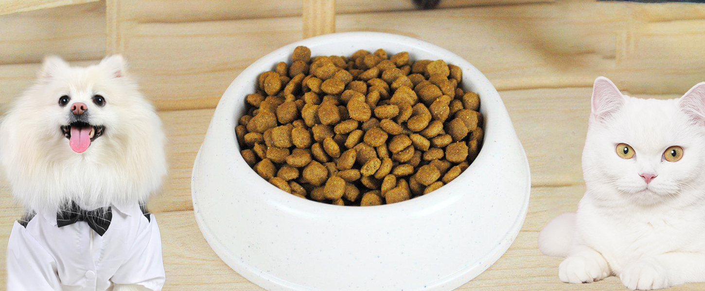 宠物食品